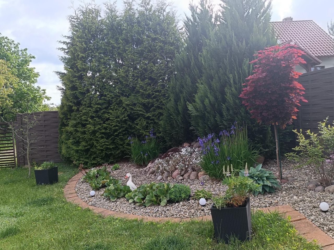 dom wolnostojący, 6 pokoi Tryszczyn, ul. Polna. Zdjęcie 27