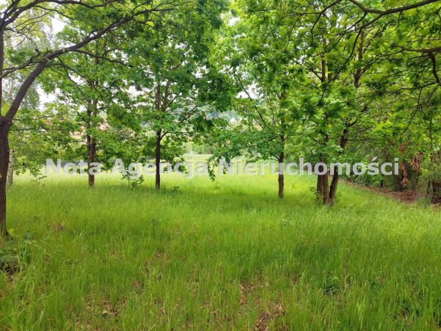 Działka Szczawno-Zdrój, ul. Saperów. Zdjęcie 9