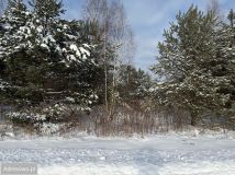 Działka budowlana Leśne Odpadki. Zdjęcie 1