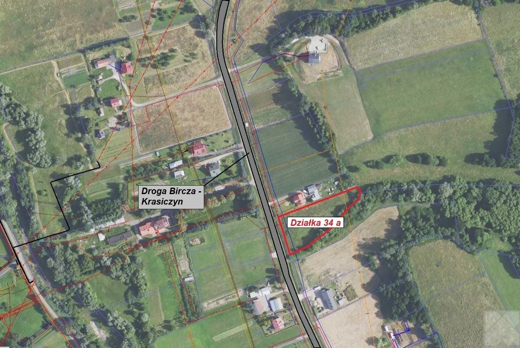 Działka Olszany. Zdjęcie 5