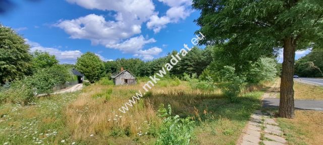 Działka siedliskowa Zimna Woda. Zdjęcie 1