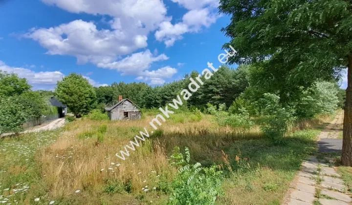 Działka siedliskowa Zimna Woda