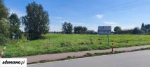 Działka rolno-budowlana Cedry Małe. Zdjęcie 3
