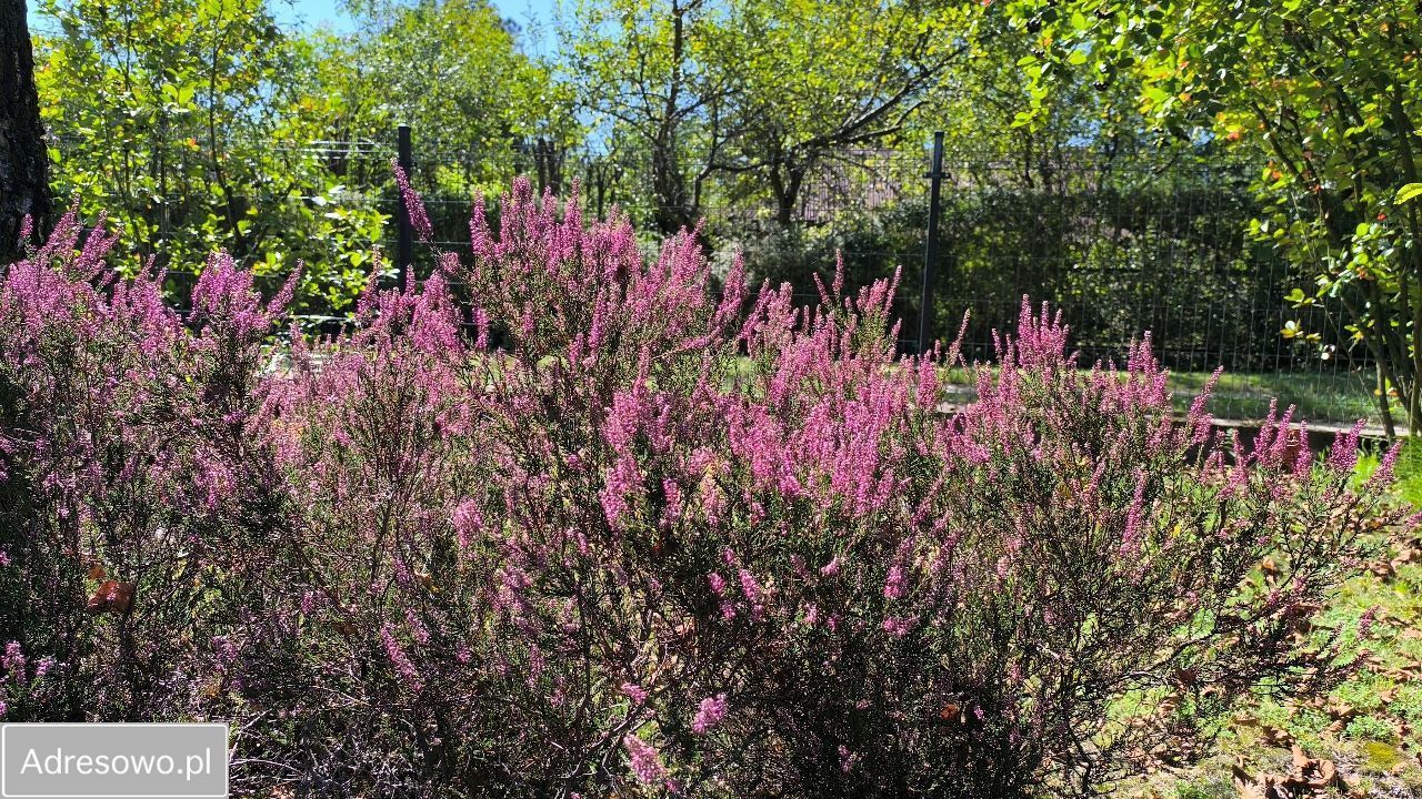 Działka rod Brodła, ul. Działkowców. Zdjęcie 8
