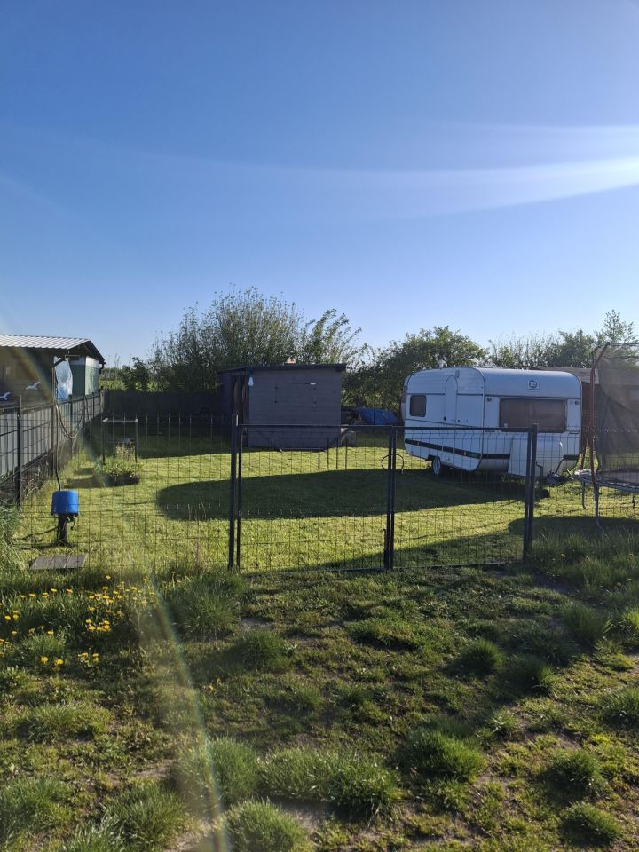 Działka rekreacyjna Kamienica, Zielony zakątek. Zdjęcie 18