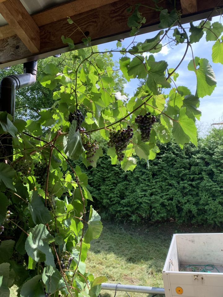 Działka rolno-budowlana Jarosław Dolnoleżajskie, ul. Kruhel Pełkiński. Zdjęcie 7