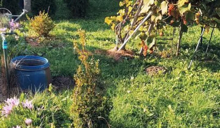 Działka rod Stargard