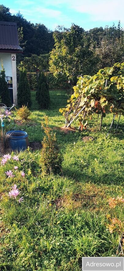 Działka rod Stargard