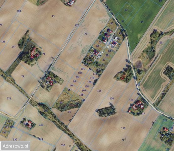 Działka budowlana Nowa Wieś Malborska, ul. Kasztanowa. Zdjęcie 1