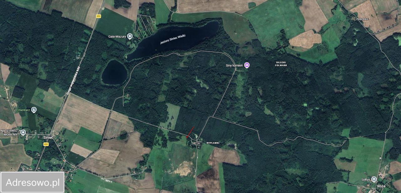 Działka rolno-budowlana Siniec Rypławki. Zdjęcie 4