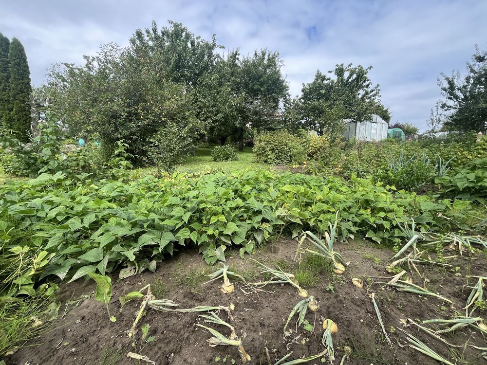 Działka rod Olsztyn. Zdjęcie 3