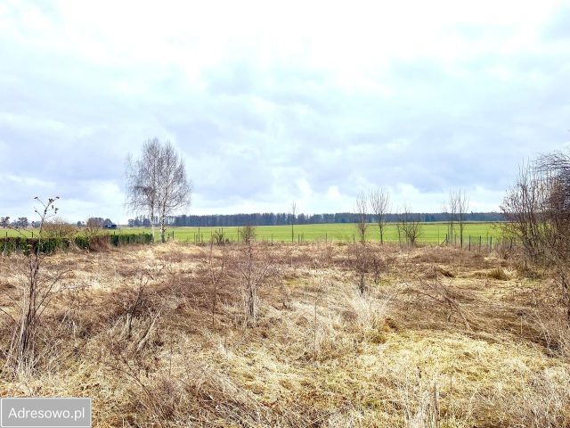 Działka siedliskowa Wilków Średzki Wnorów. Zdjęcie 1