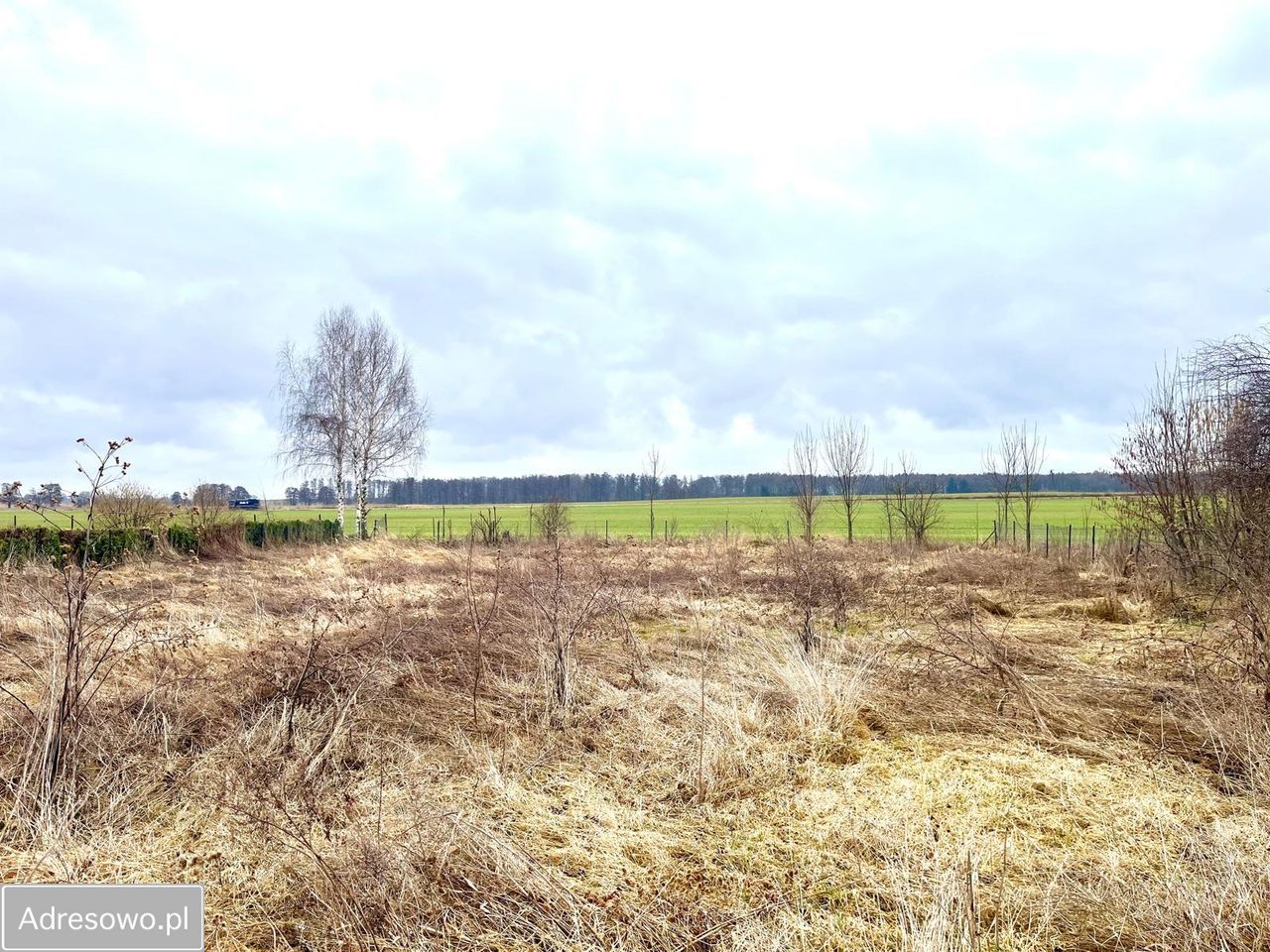 Działka siedliskowa Wilków Średzki Wnorów. Zdjęcie 1