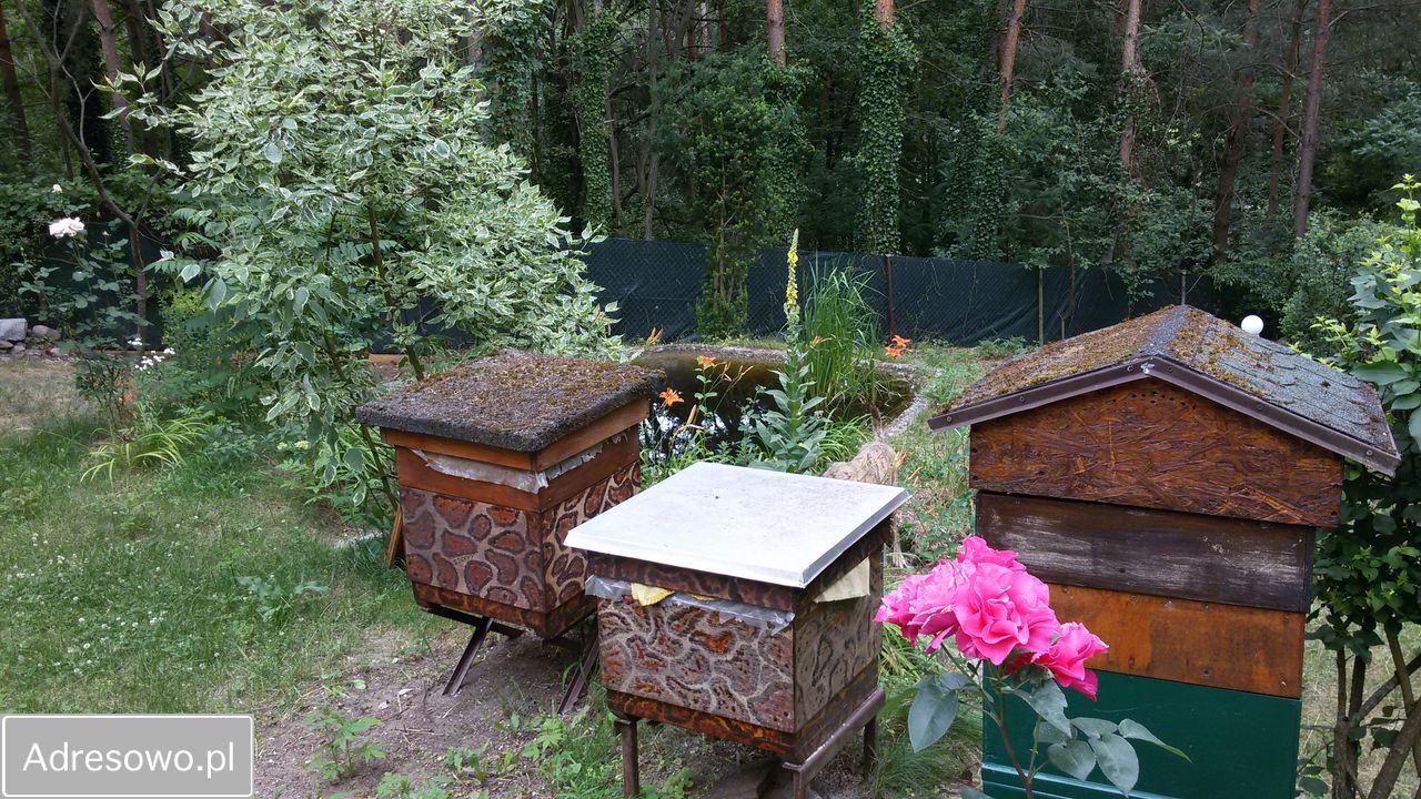 dom wolnostojący, 4 pokoje Janoszyce. Zdjęcie 19