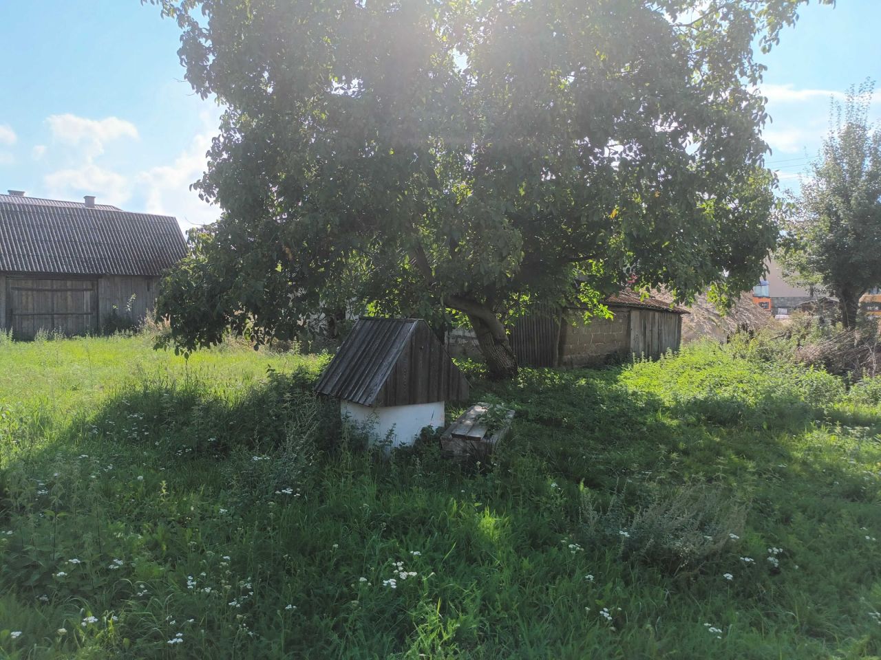 Działka siedliskowa Wieniawa. Zdjęcie 4