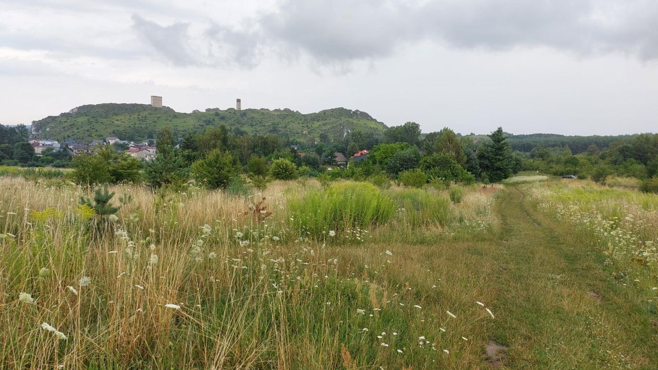 Działka rolna Olsztyn, ul. Botaniczna. Zdjęcie 2