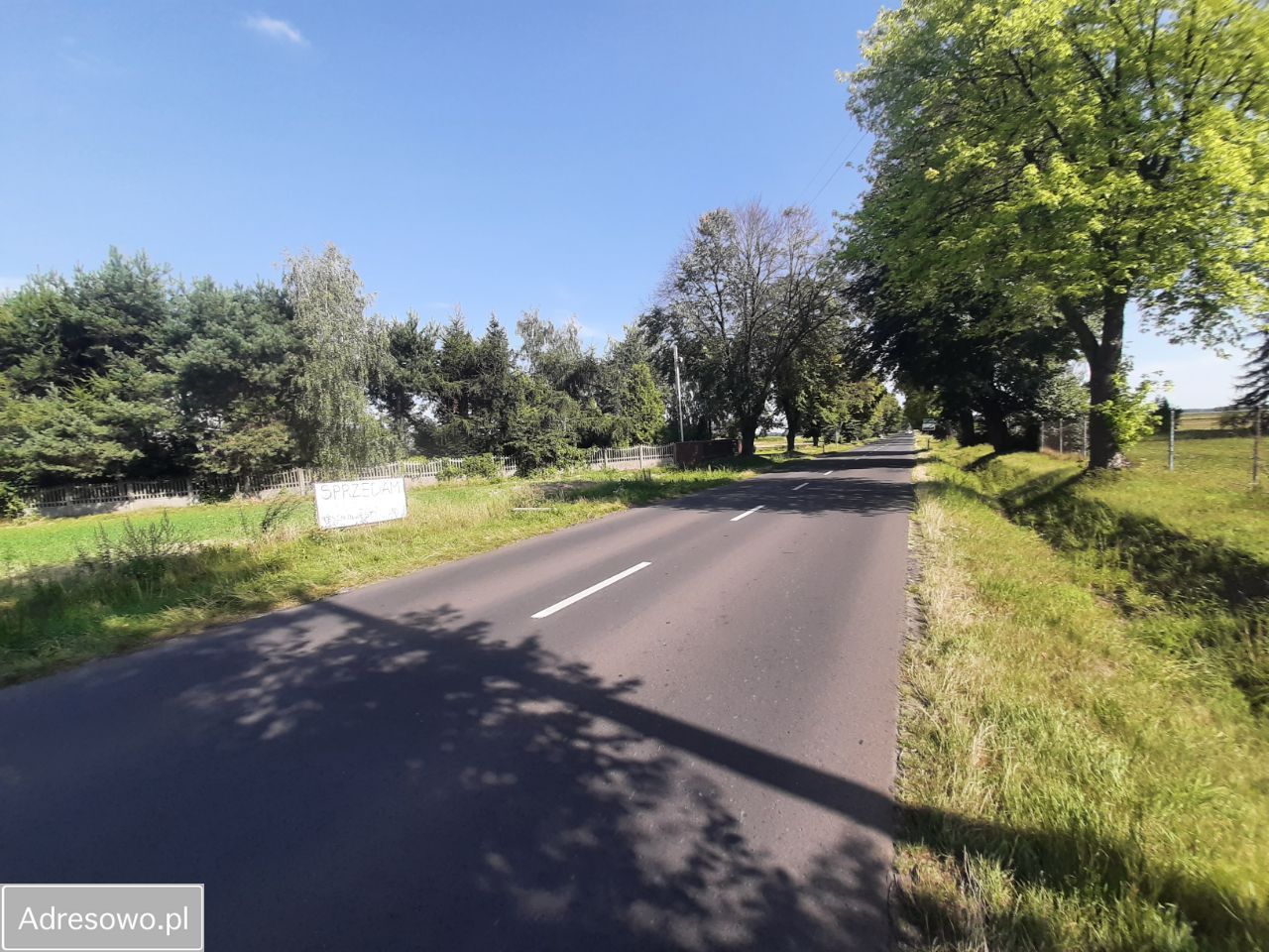 Działka inwestycyjna Dubidze. Zdjęcie 8