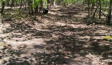 Działka budowlana Tabor