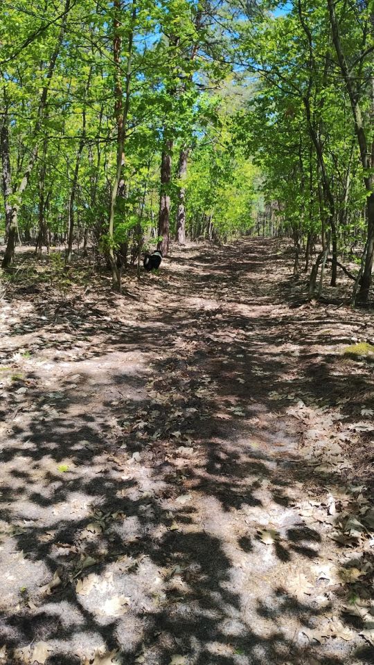 Działka budowlana Tabor. Zdjęcie 2