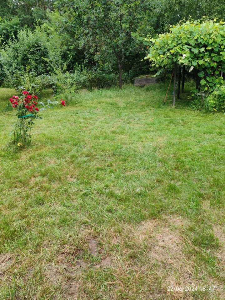 Działka rod Radom, ul. Ciborowska. Zdjęcie 4