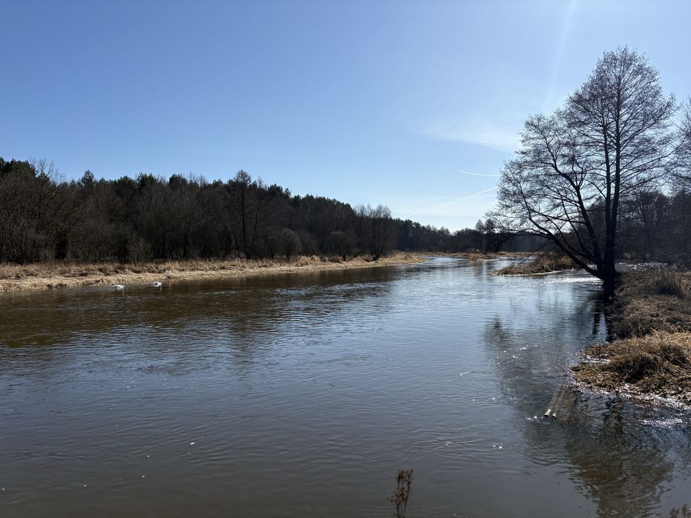 Mieszkanie 1-pokojowe Biała. Zdjęcie 2