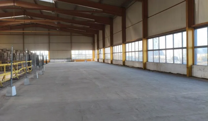 Hala/magazyn Poznań Szczepankowo, ul. Szczepankowo