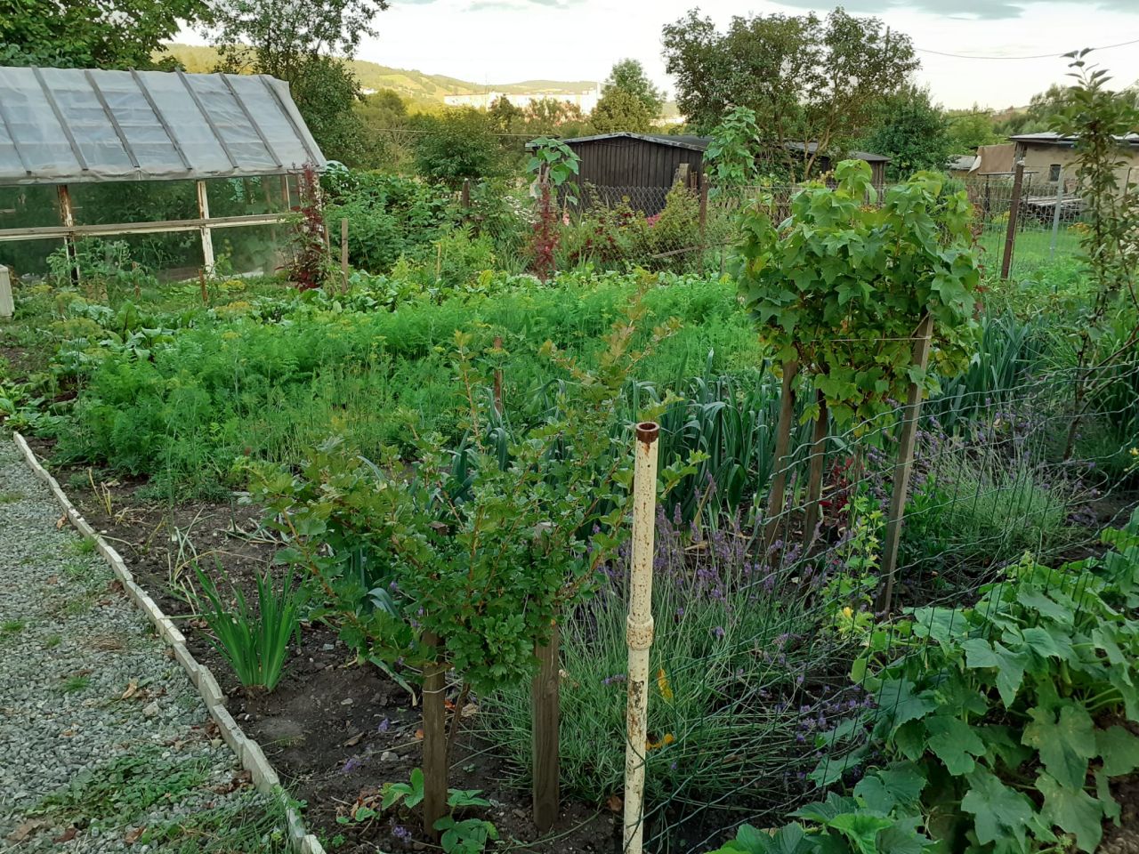 Mieszkanie 2-pokojowe Głuszyca, ul. Kolejowa. Zdjęcie 24