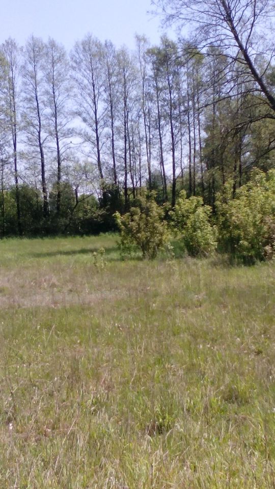 Działka inwestycyjna Bełdów-Krzywa Wieś Jastrzębiec. Zdjęcie 4