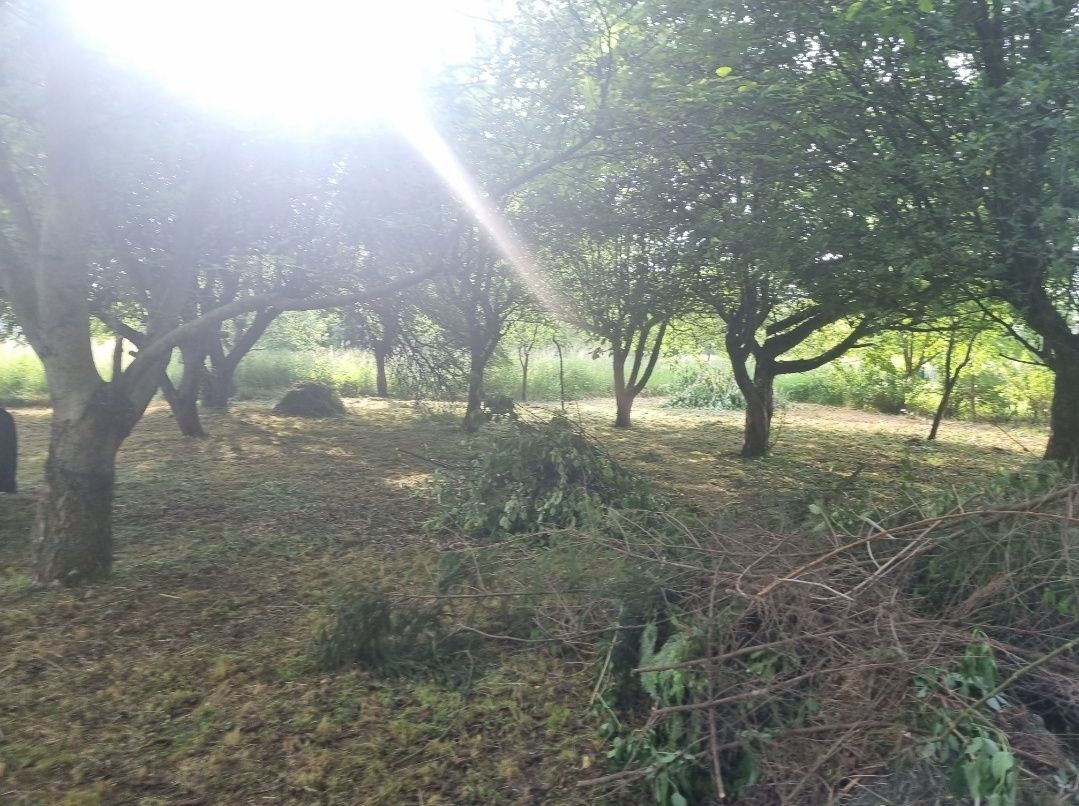 Działka budowlana Przemyśl, ul. Romualda Rosłońskiego. Zdjęcie 2