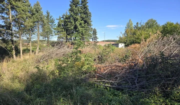 Działka budowlana Wolbromek