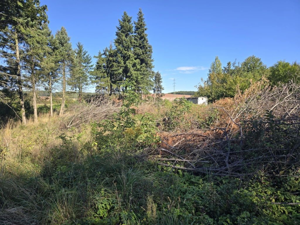 Działka budowlana Wolbromek