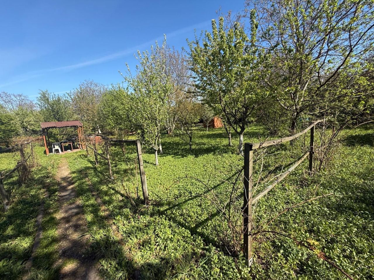 Działka rod Warszawa Saska Kępa. Zdjęcie 4