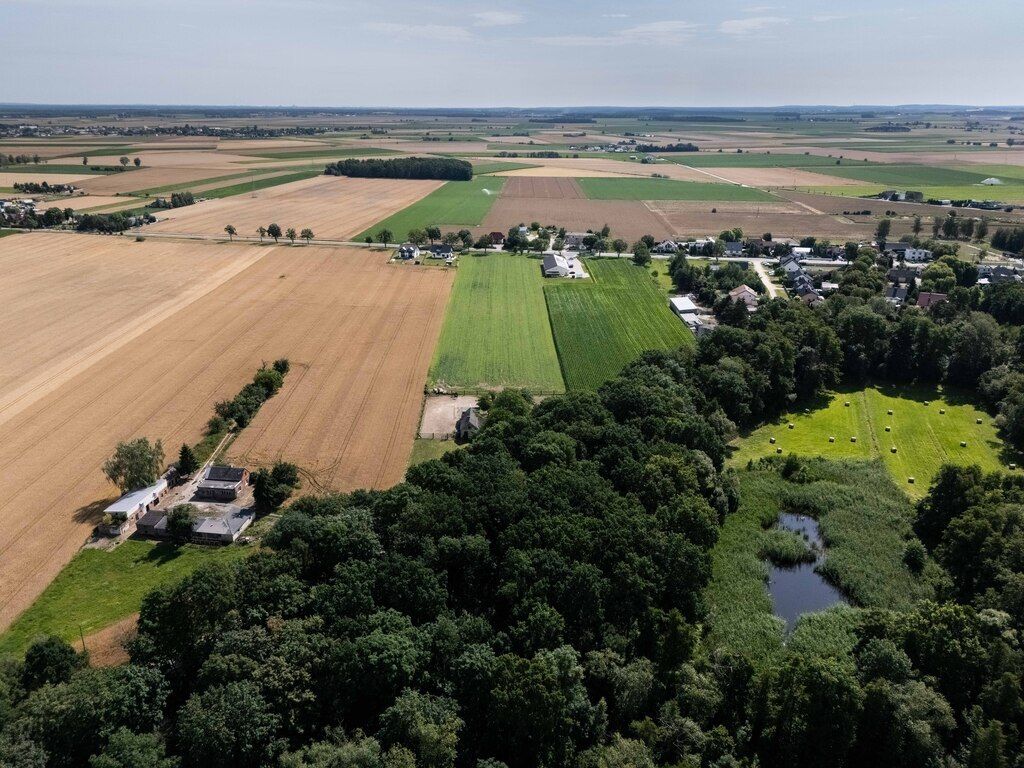 Działka inwestycyjna Szewce, ul. Bukowska. Zdjęcie 3
