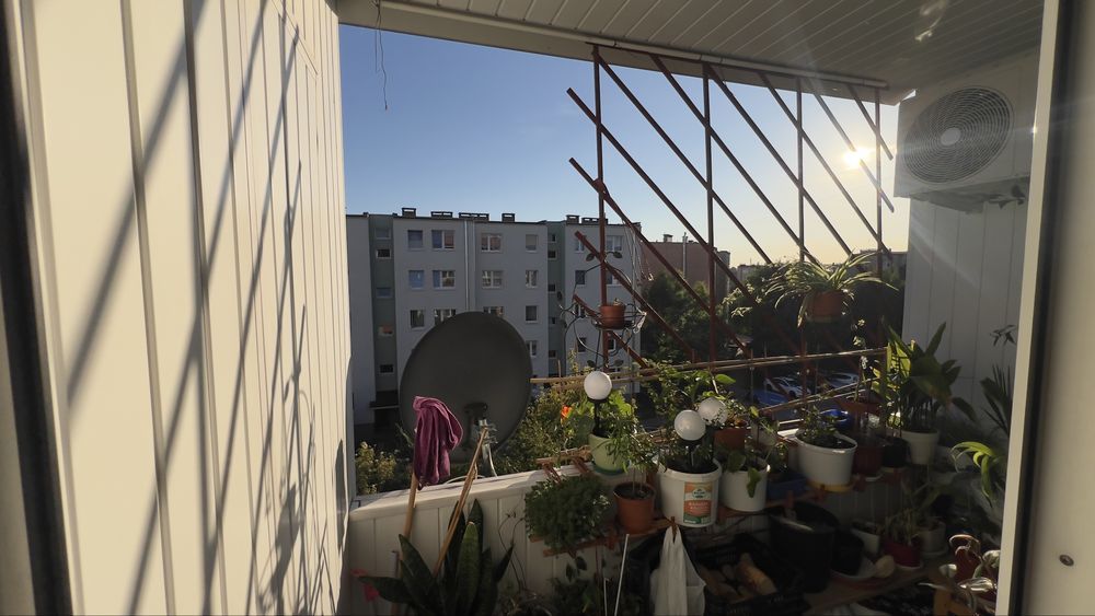 Mieszkanie 3-pokojowe Staszów, ul. Adama Mickiewicza. Zdjęcie 8