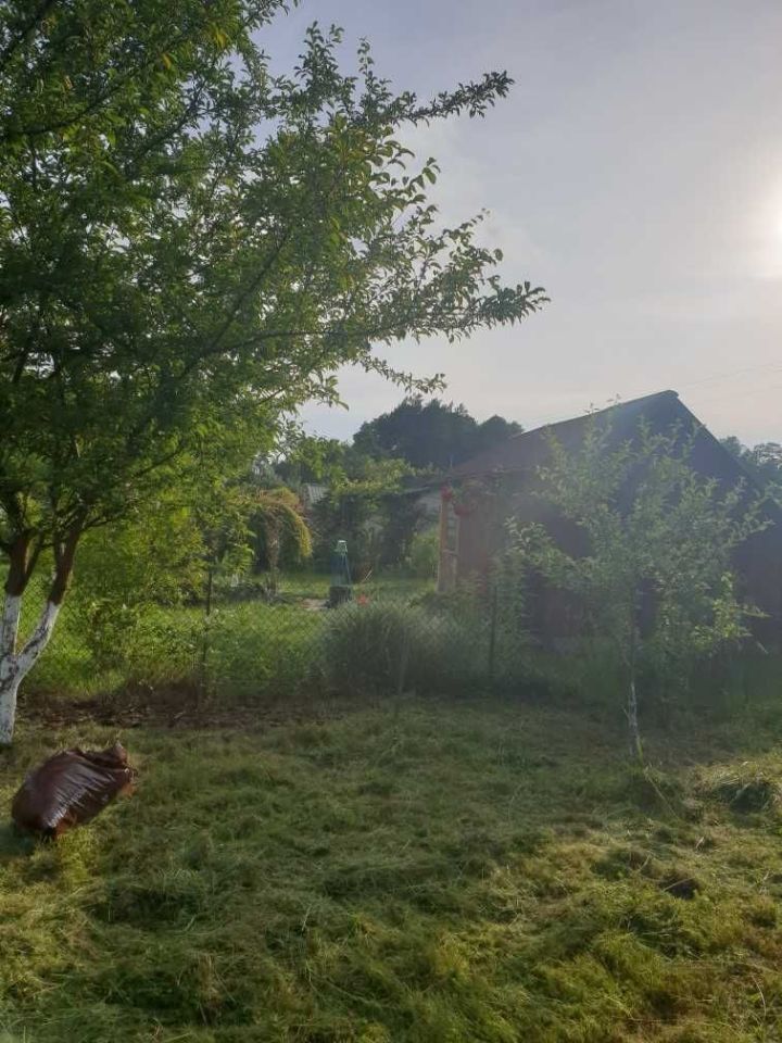 Działka rod Zielonka. Zdjęcie 8