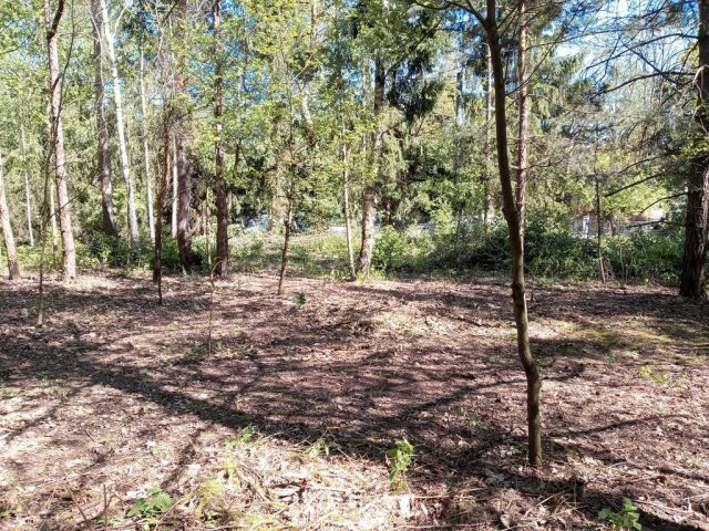 Działka budowlana Tartak Brzózki, ul. Letniskowa. Zdjęcie 5