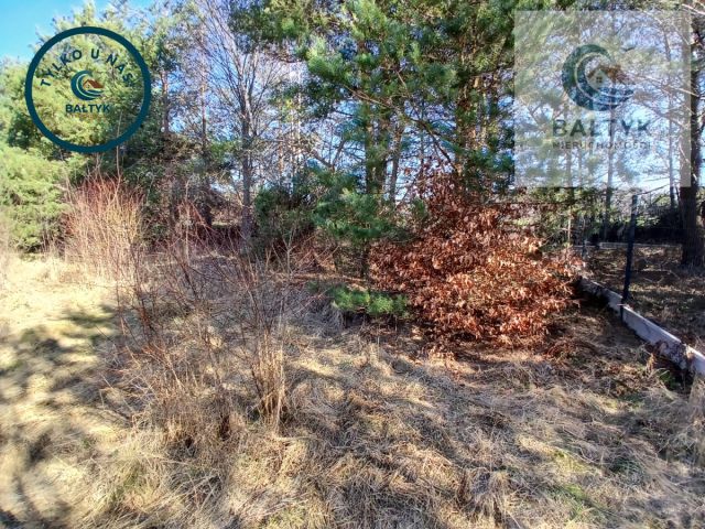 Działka budowlana Gowino. Zdjęcie 11