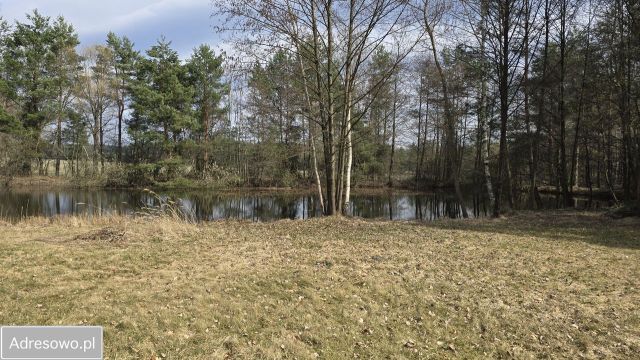 Działka rolna Drogoszowice. Zdjęcie 1