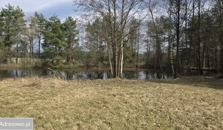 Działka rolna Drogoszowice