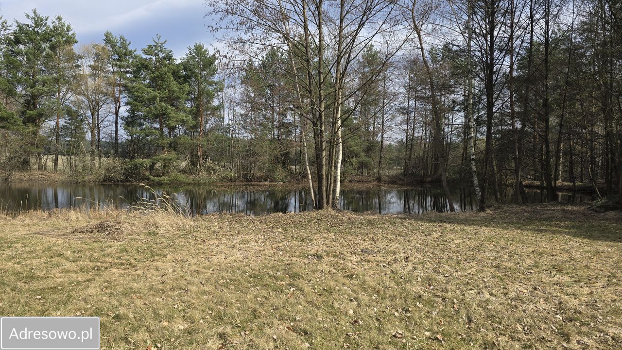 Działka rolna Drogoszowice. Zdjęcie 1
