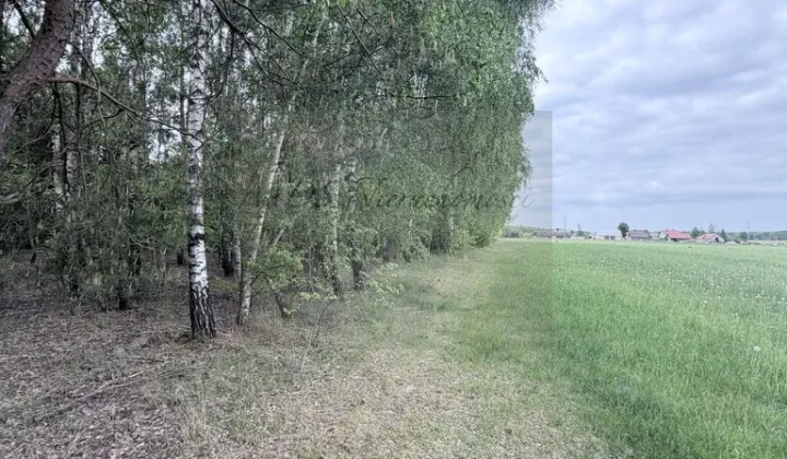 Działka budowlana Poręba-Kocęby
