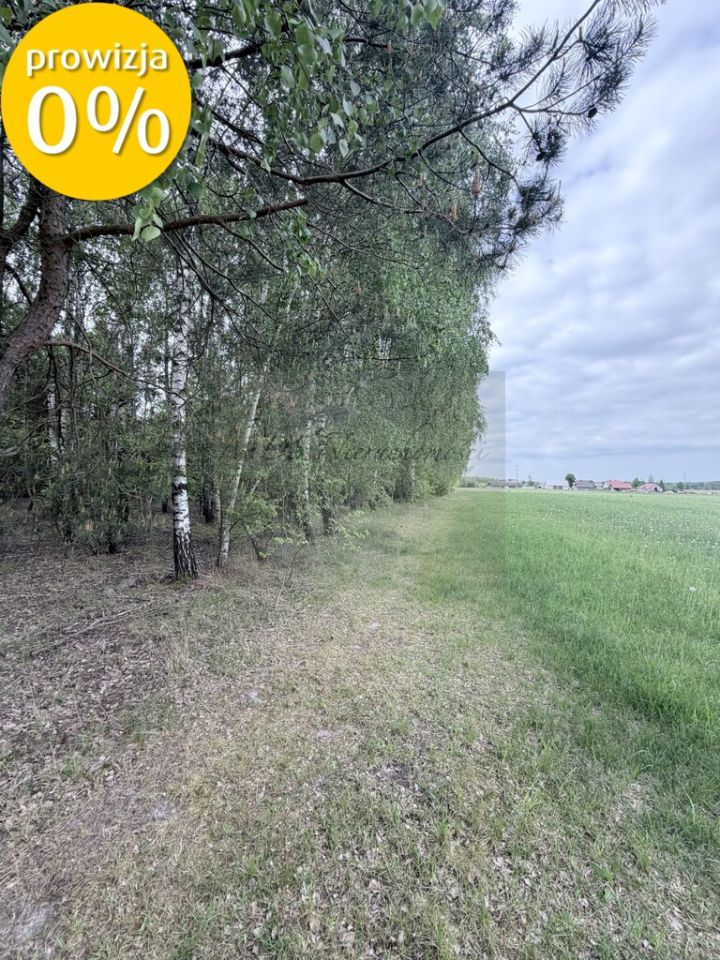 Działka budowlana Poręba-Kocęby. Zdjęcie 1
