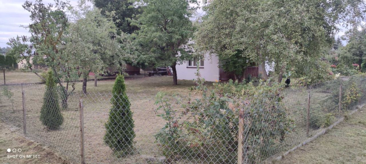 Działka rod Łochów. Zdjęcie 4