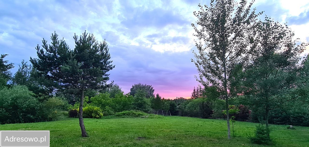 Działka Strzeniówka. Zdjęcie 4