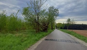 Działka rolna Chełmce