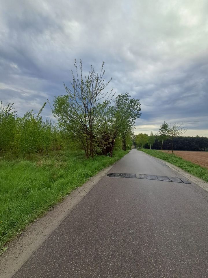 Działka rolna Chełmce. Zdjęcie 2