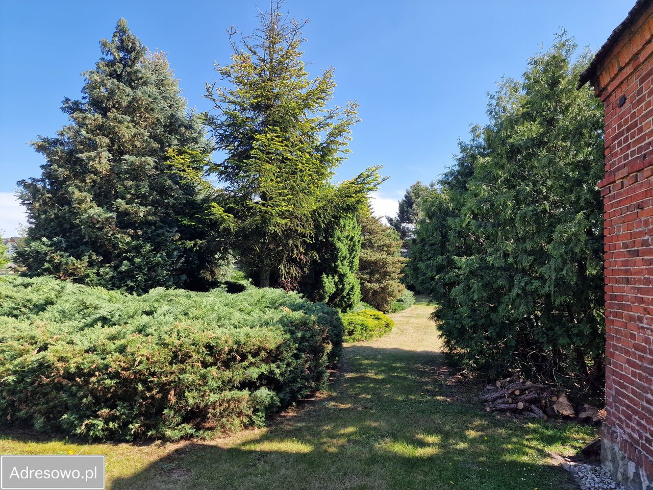 dom wolnostojący, 4 pokoje Jabłonna, ul. Kościelna. Zdjęcie 9