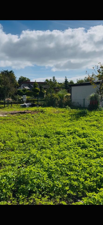 Działka rod Gdynia Babie Doły