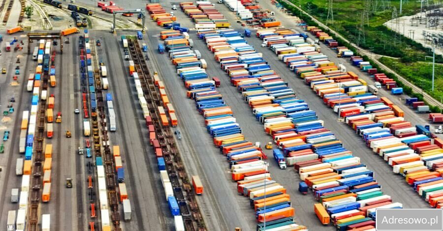 Działka rolna Zduńska Wola. Zdjęcie 2