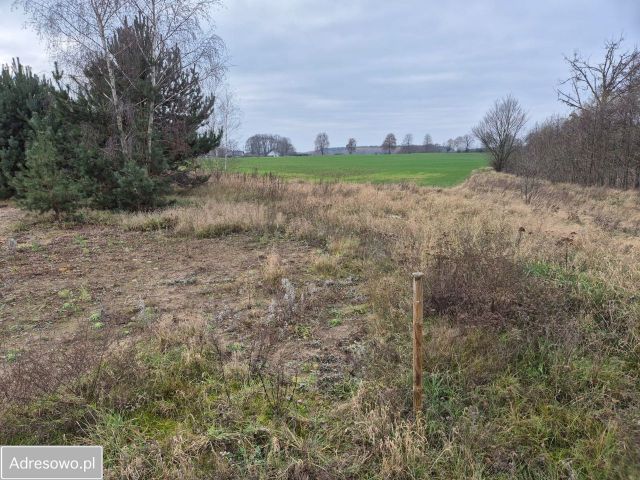 Działka budowlana Orliczko. Zdjęcie 1